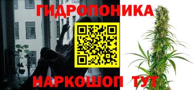 apvp Коммунар