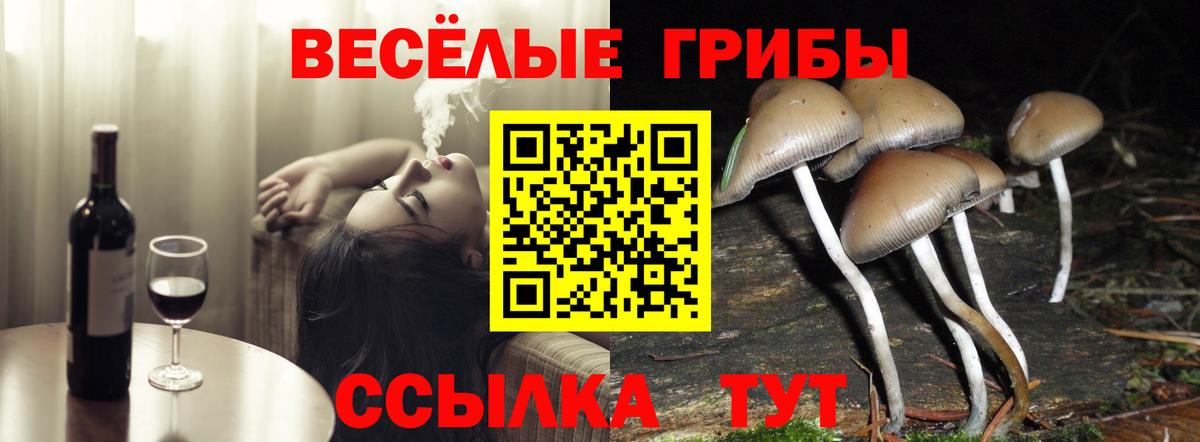 Галлюциногенные грибы GOLDEN TEACHER  Галлюциногенные грибы ЛСД  Вход с VPN  Кизилюрт 